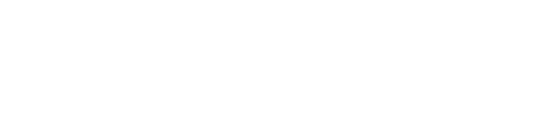 Proof Savvy Solutions Logo